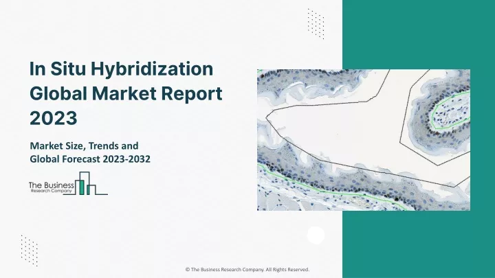 in situ hybridization global market report 2023