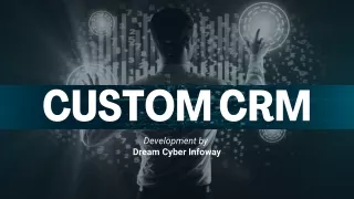 How to Create a Successful Campaign Using Custom CRM Development?