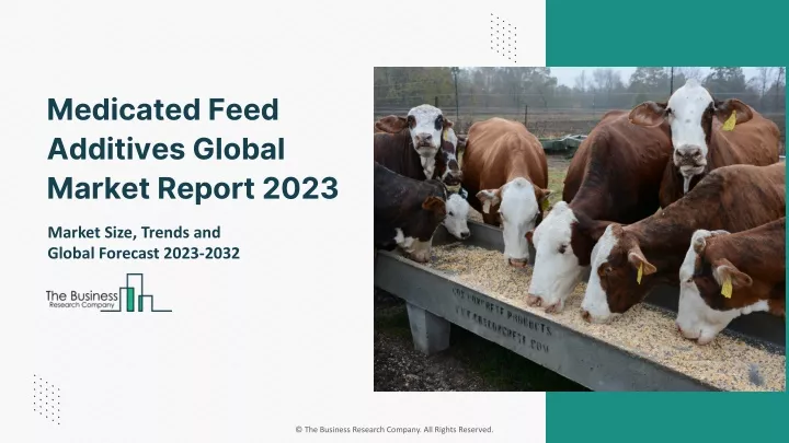 medicated feed additives global market report 2023