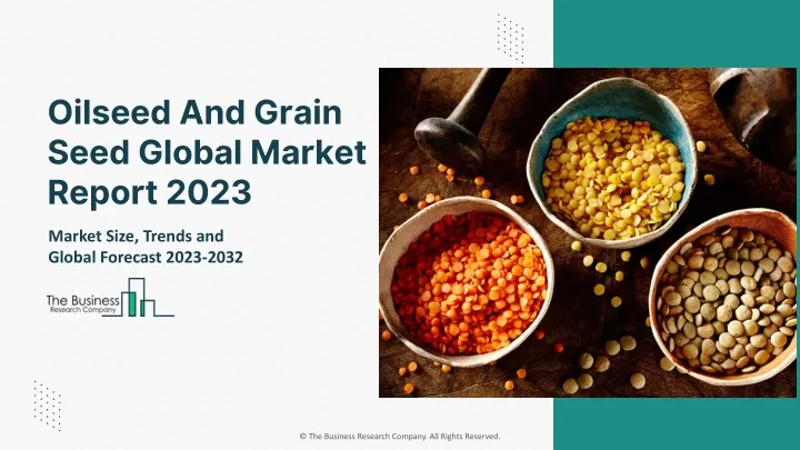 oilseed and grain seed global market report 2023