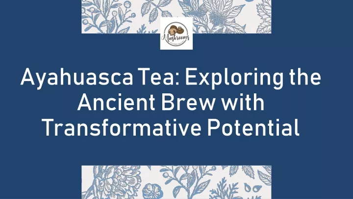 ayahuasca tea exploring the ancient brew with transformative potential