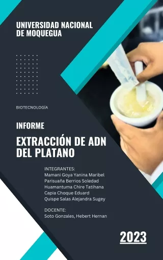 EXTRACCION DEL ADN DEL PLATANO