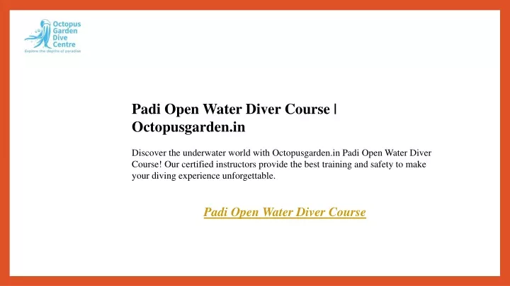 padi open water diver course octopusgarden