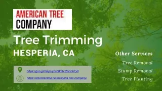 Tree Trimming Hesperia, CA
