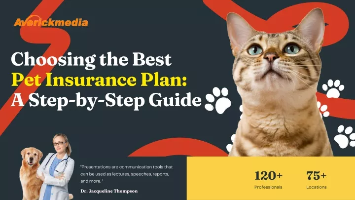choosing the best pet insurance plan a step