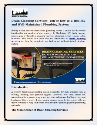 Drain Cleaning Services Youre Key to a Healthy and Well Maintained Plumbing System