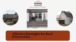 Effective Strategies for Roof Preservation