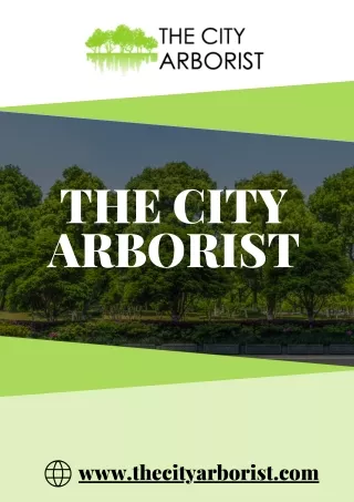 Arborist - The City Arborist