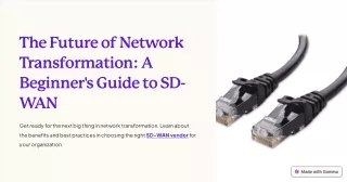 Choosing the Perfect SD-WAN Vendor: A Practical Guide for Network Transformation