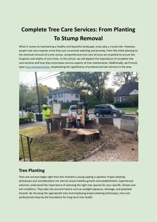 Complete Tree Care Services_ From Planting To Stump Removal