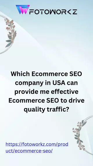 which ecommerce seo company in usa can provide