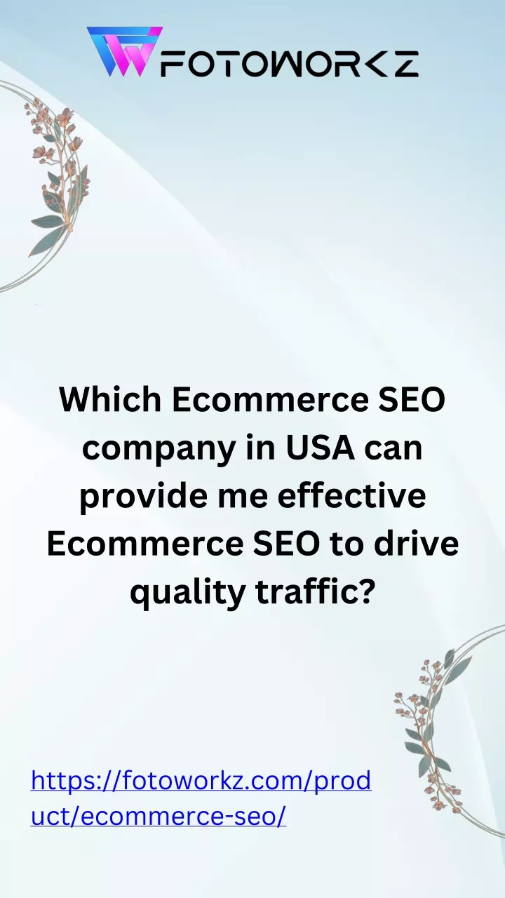 which ecommerce seo company in usa can provide