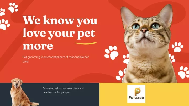 we know you love your pet more