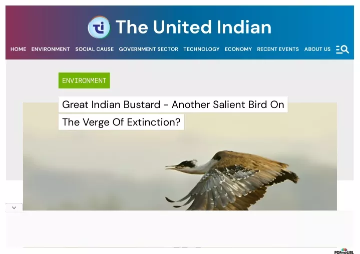 the united indian