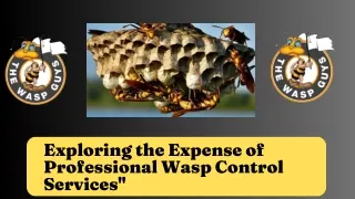 Exploring the Expense of Professional Pest Control Services