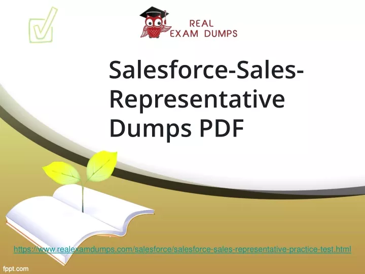 salesforce sales representative dumps pdf