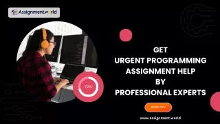 URGENT PROGRAMMING ASSIGNMENT HELP