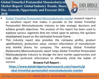 Trimethyl Pentanediol Monoisobutyrate -Chemical Material