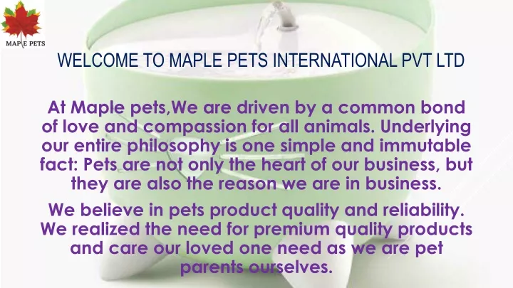 welcome to maple pets international pvt ltd