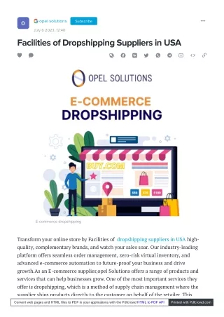 The  Guide to Mastering Dropshipping in the USA