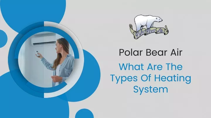 polar bear air