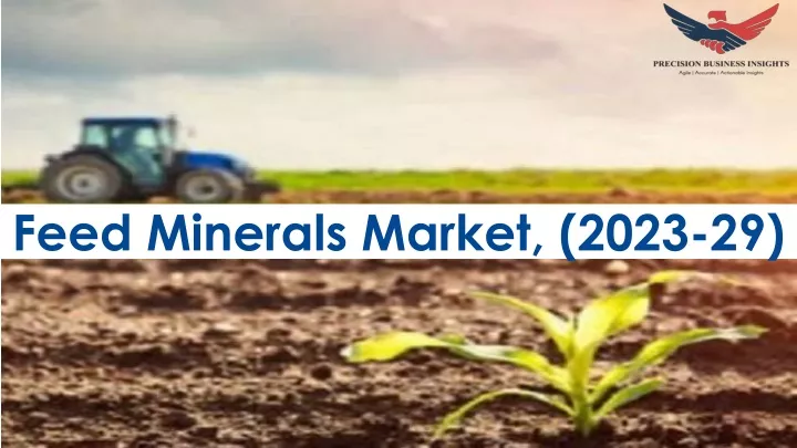 feed minerals market 2023 29