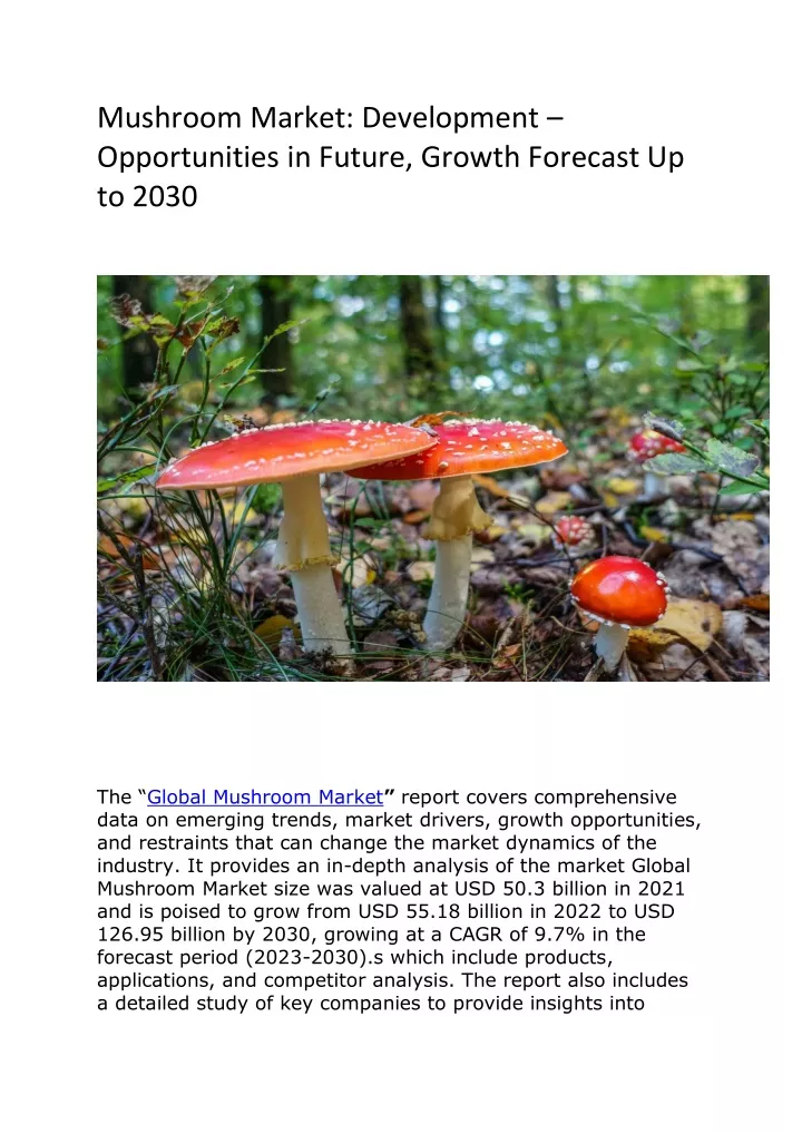 mushroom market development opportunities