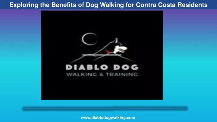 exploring the benefits of dog walking for contra