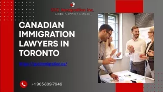 Canadian Immigration Lawyers In Toronto