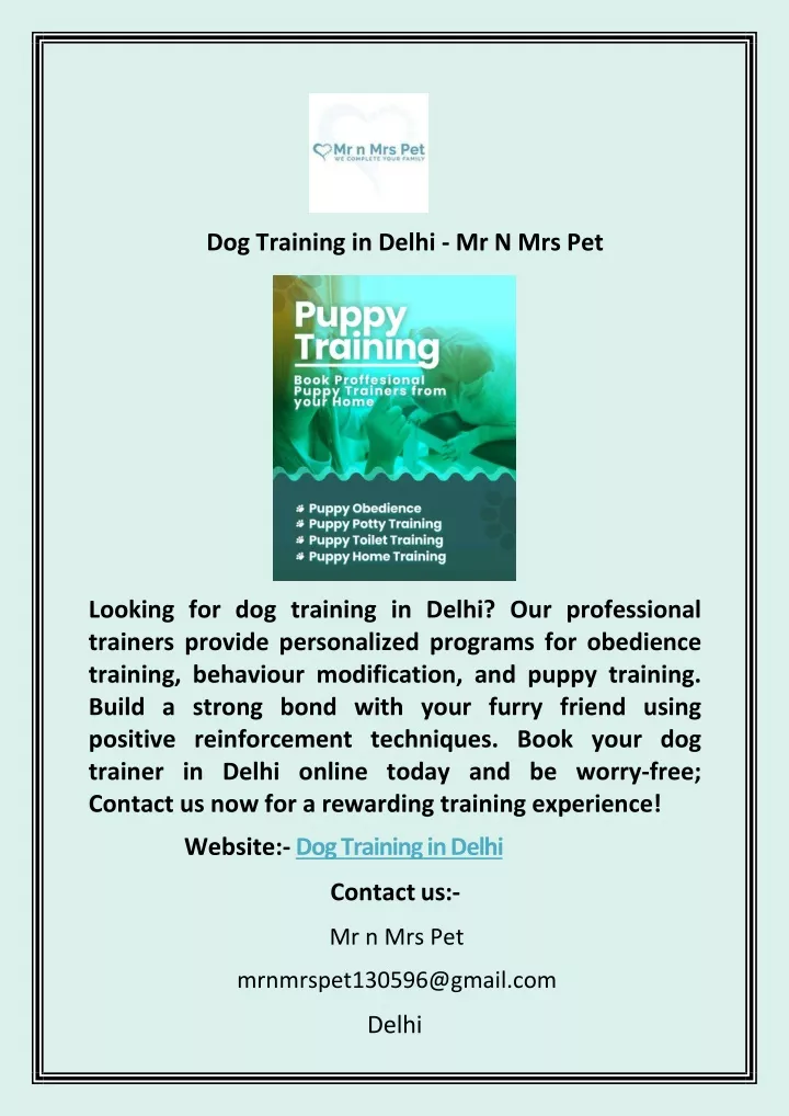 dog training in delhi mr n mrs pet