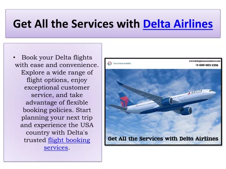 get all the services with delta airlines