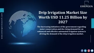 Drip Irrigation Market Size, Regional Outlook, Competitive Landscape BY 2030