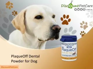 Buy PlaqueOff Dental Powder Dental at lowest Price online