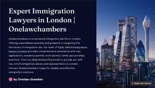 Expert Immigration Lawyers in London | Onelawchambers