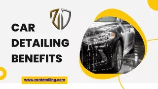 www zardetailing com