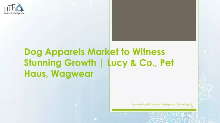 dog apparels market to witness stunning growth lucy co pet haus wagwear