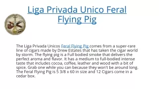 Liga Privada Unico Feral Flying Pig