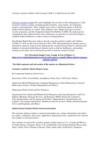 customer analytics market with growing cagr