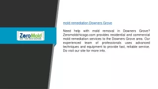 Mold Remediation Downers Grove Zeromoldchicago.com