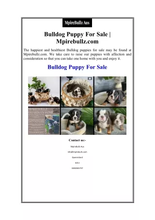 Bulldog Puppy For Sale | Mpirebullz.com