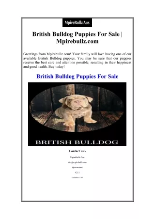 British Bulldog Puppies For Sale | Mpirebullz.com