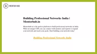 Building Professional Networks India  Mentorhub.in