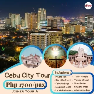 Cebu Bohol  Tours - Aree Travel and Tours