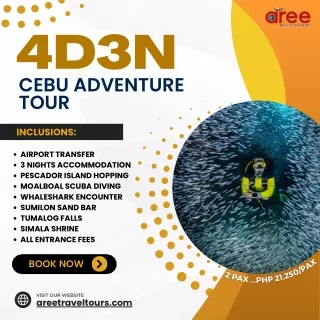 Cebu Bohol  Tours - Aree Travel and Tours (1)