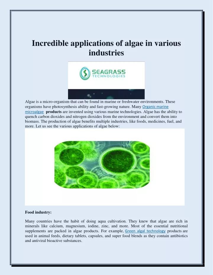 incredible applications of algae in various