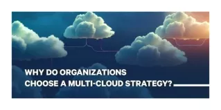 Why do organizations choose a multi-cloud strategy?