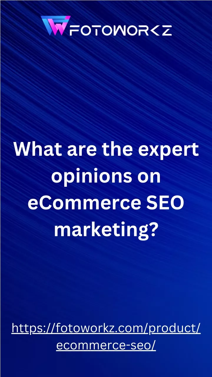 what are the expert opinions on ecommerce