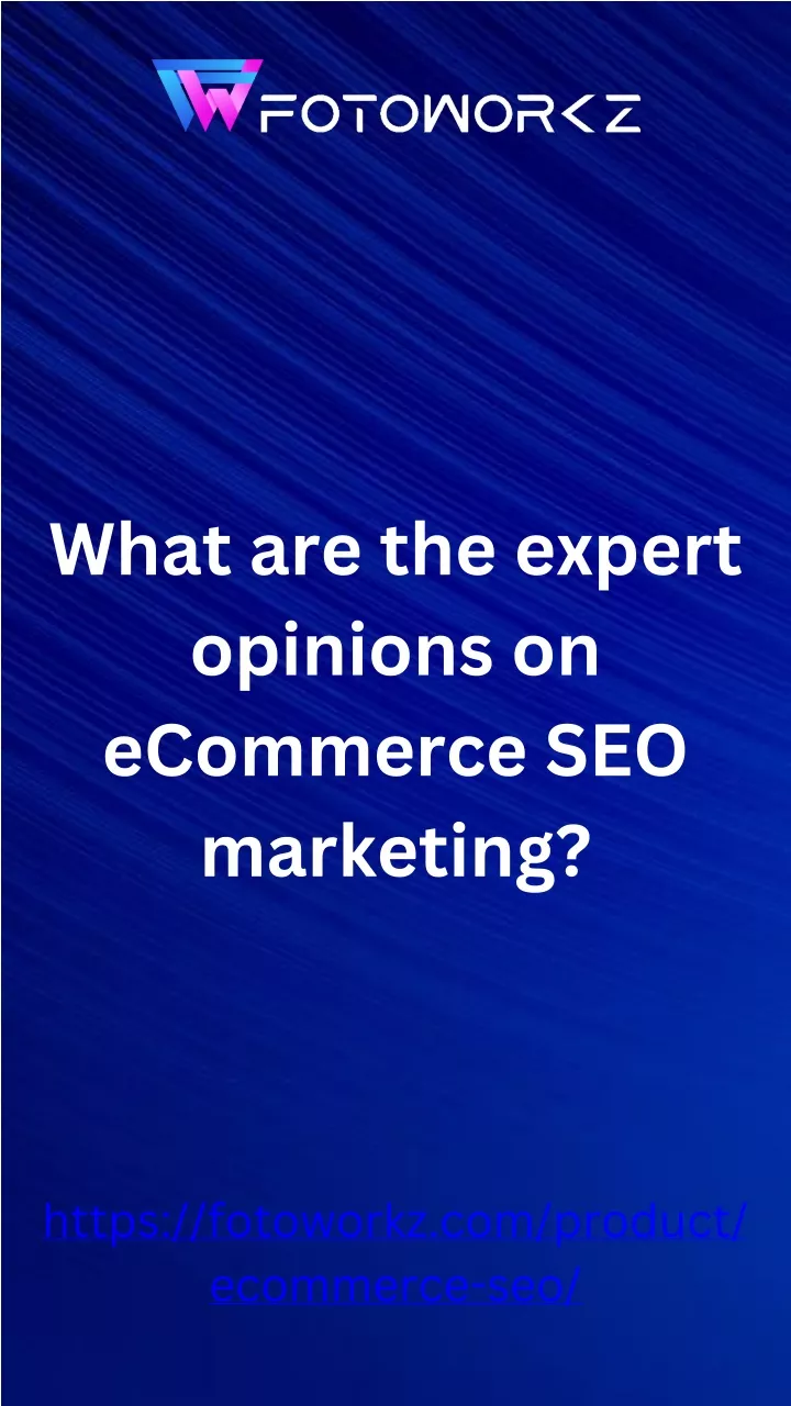 what are the expert opinions on ecommerce