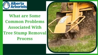 What are Some Common Problems Associated With Tree Stump Removal Process