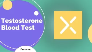 Testosterone Blood Test